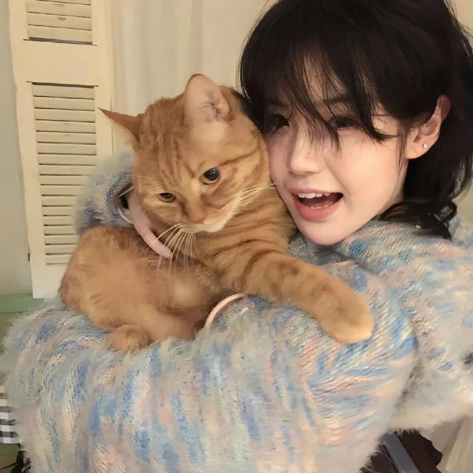 男子游泳部：最后的划水 剧场版前篇